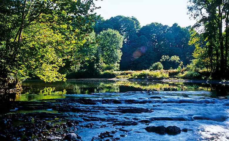 Com vista arrebatadora, refúgio campestre da performer superpop Marina Abramović é uma aula de história permeada por arte e design de primeira